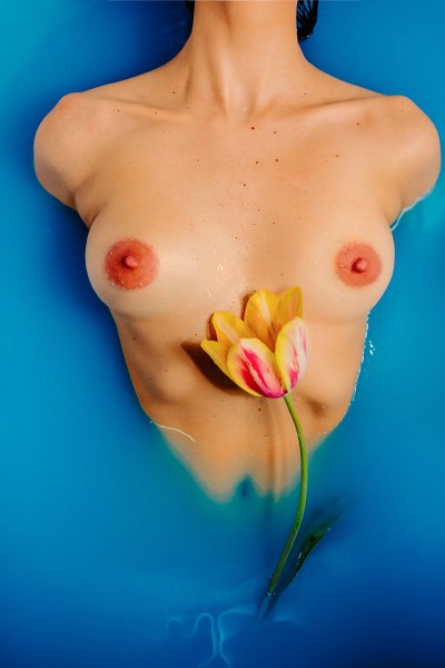 indigo fleur ნამუშევრები