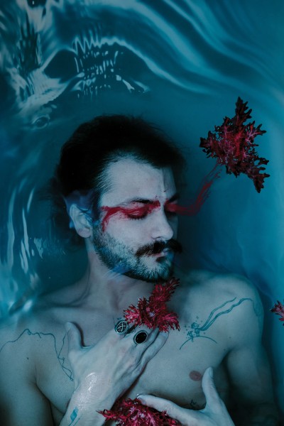 indigo fleur ნამუშევრები