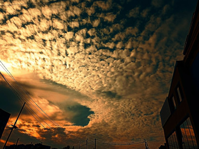art_6a39a9a2f08b2_33e64a53fa904aa19ff3b7ff61c75672_title