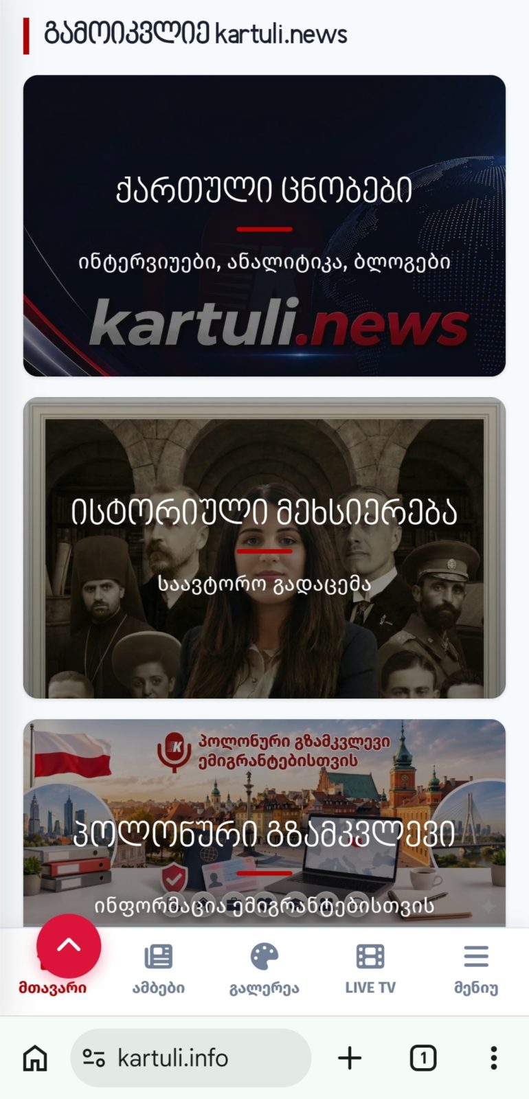 Kartuli.News - მედია პლატფორმა — მათე გასვიანი